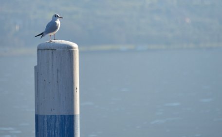 monte-isola---iseo-lake--italy-39_8335127934_o